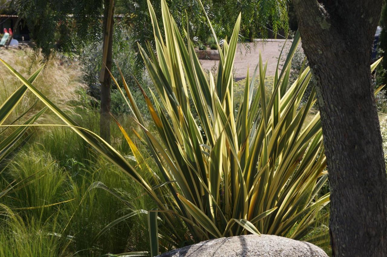 Les Jardins De Santa Giulia - Charmante Chambre D'Hote ポルトヴェッキオ エクステリア 写真